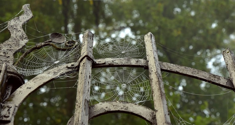 Chrono Portals